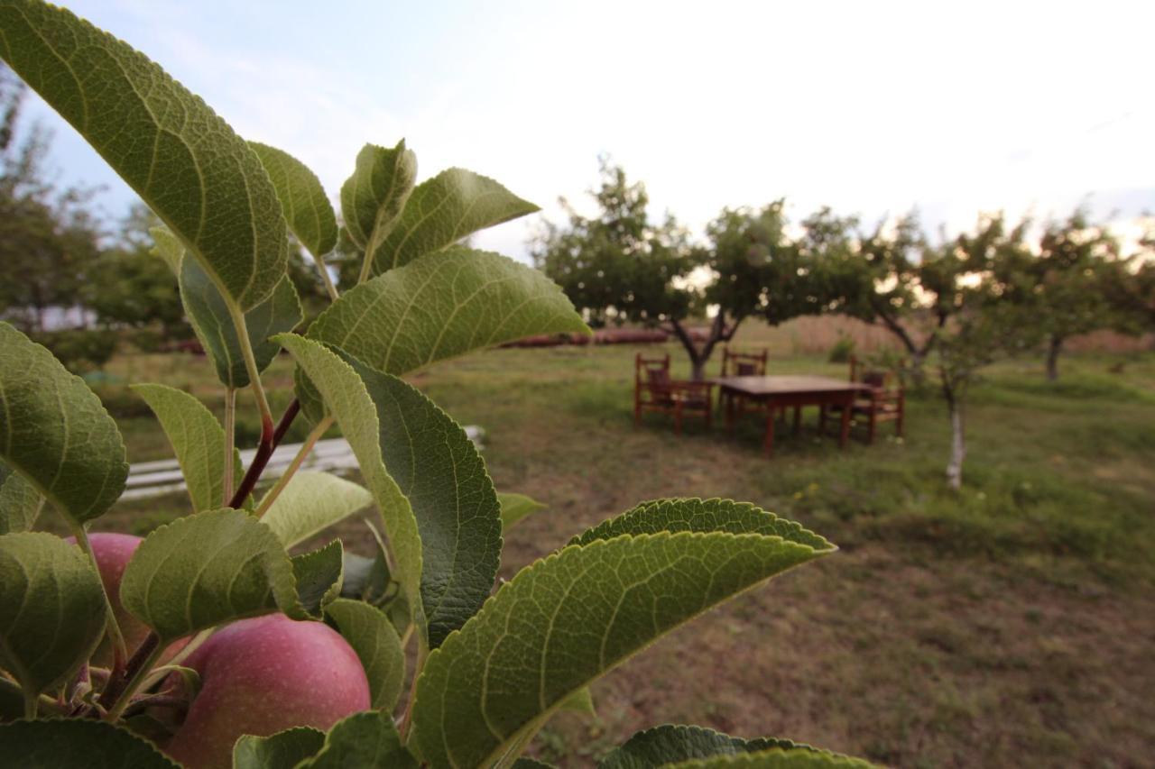 Oazis Otel Noratus Dış mekan fotoğraf